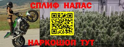 эйфоретик Кунгур